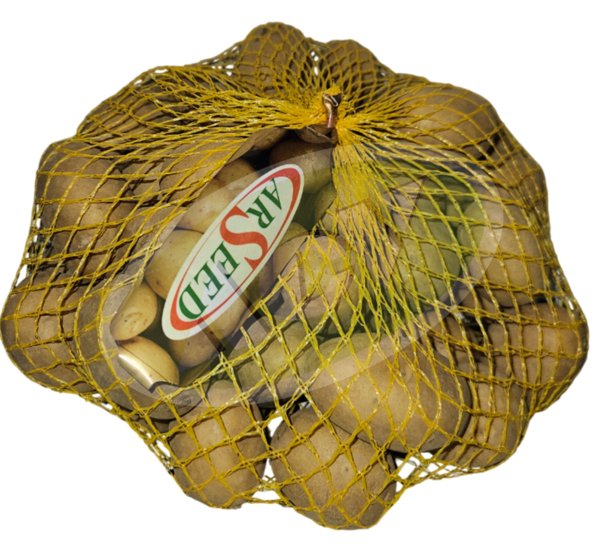 ZKI KROMPIR